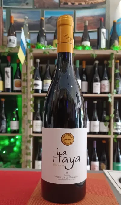 La Haya