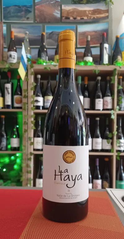 La Haya