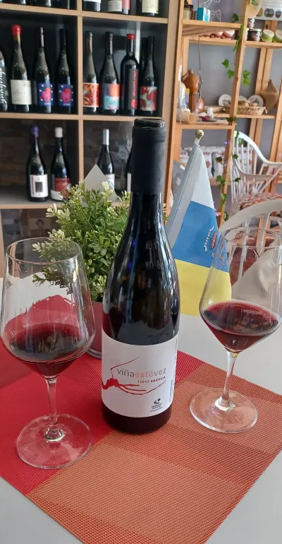 Viña Estévez Tinto